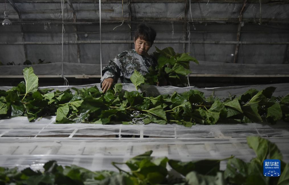 最新电玩城游戏大厅